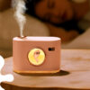 HUMIDIFICADOR CÁMARA JK-37. - Imagen 4